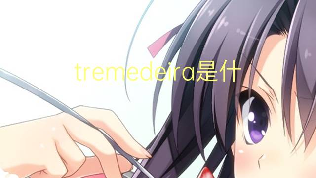 tremedeira是什么意思 tremedeira的读音、翻译、用法