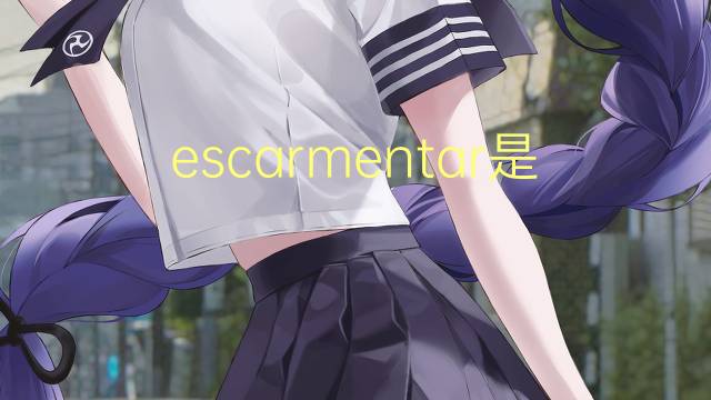 escarmentar是什么意思 escarmentar的读音、翻译、用法