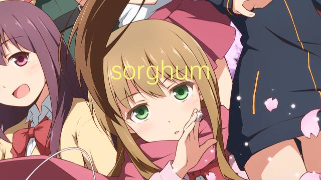 sorghum subglabrescens是什么意思 sorghum subglabrescens的读音、翻译、用法