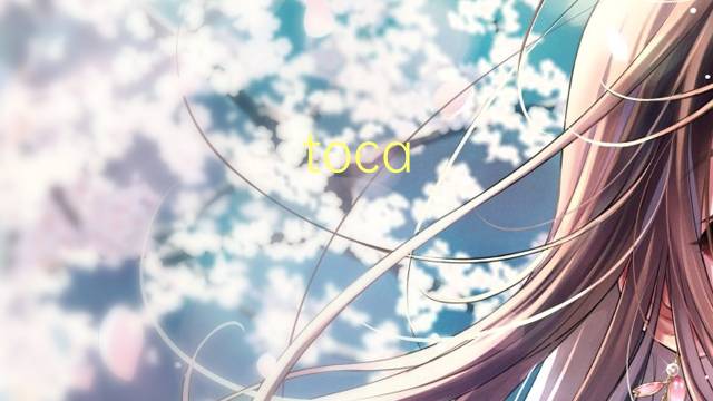 toca-discos是什么意思 toca-discos的读音、翻译、用法