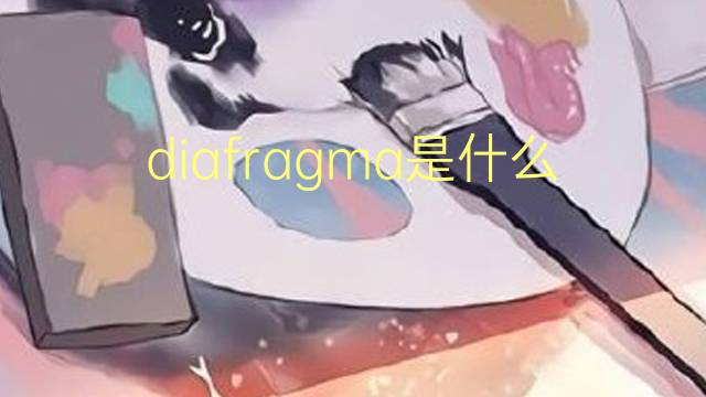 diafragma是什么意思 diafragma的读音、翻译、用法