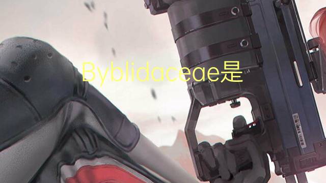 Byblidaceae是什么意思 Byblidaceae的读音、翻译、用法