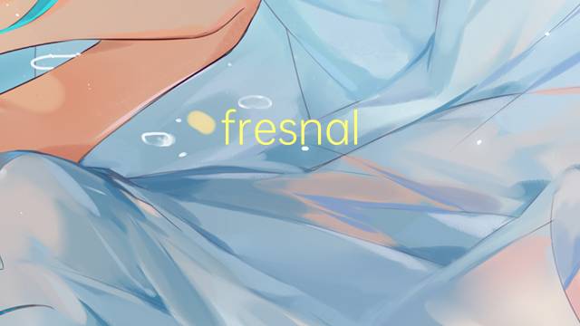 fresnal jaro是什么意思 fresnal jaro的读音、翻译、用法