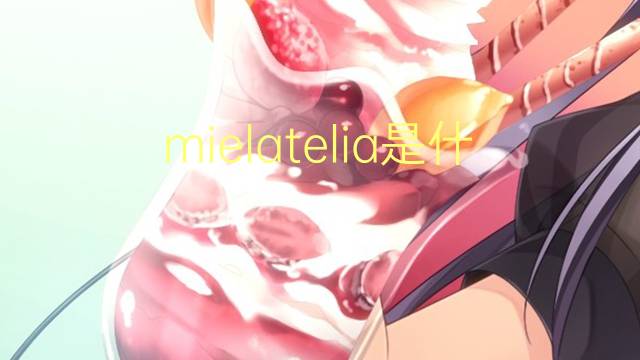 mielatelia是什么意思 mielatelia的读音、翻译、用法