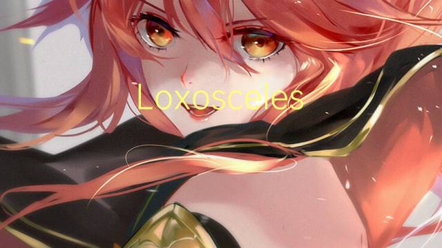 Loxosceles reclusa是什么意思 Loxosceles reclusa的读音、翻译、用法