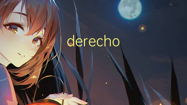 derecho de paso是什么意思 derecho de paso的读音、翻译、用法