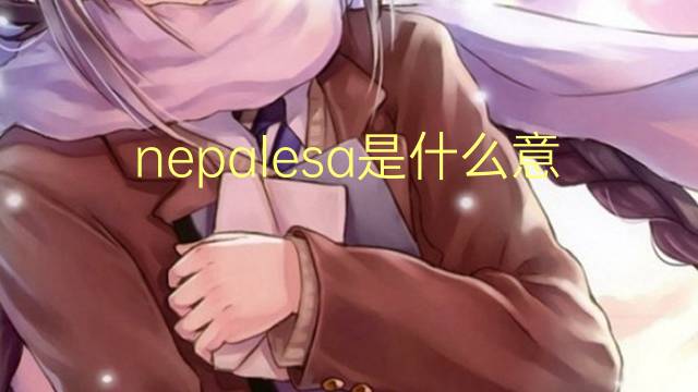 nepalesa是什么意思 nepalesa的读音、翻译、用法