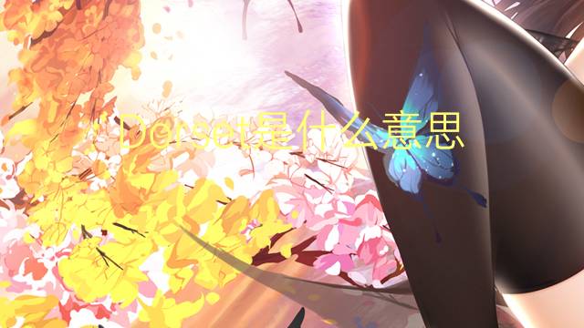 Dorset是什么意思 Dorset的读音、翻译、用法