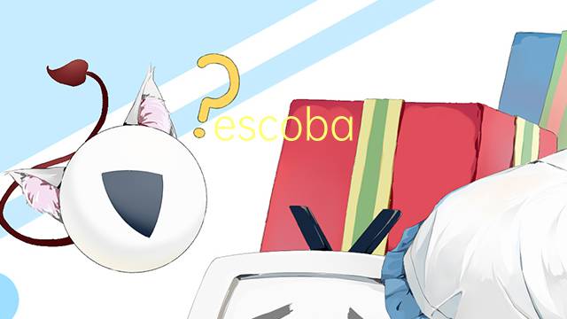 escoba babosa是什么意思 escoba babosa的读音、翻译、用法