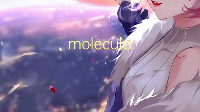 molecula heteronuclear是什么意思 molecula heteronuclear的读音、翻译、用法