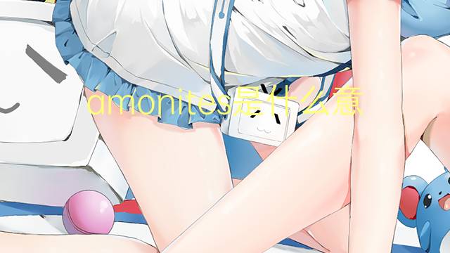 amonites是什么意思 amonites的读音、翻译、用法