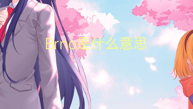 Brno是什么意思 Brno的读音、翻译、用法