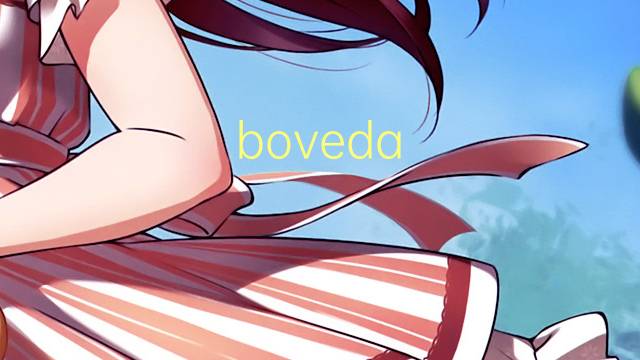 boveda del claustro是什么意思 boveda del claustro的读音、翻译、用法