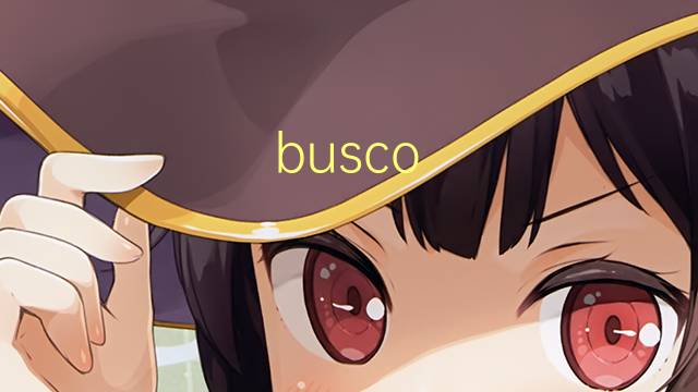busco trabajo是什么意思 busco trabajo的读音、翻译、用法