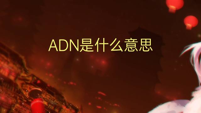 ADN是什么意思 ADN的读音、翻译、用法