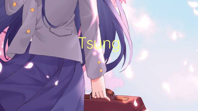 Tsung-Dao Lee是什么意思 Tsung-Dao Lee的读音、翻译、用法