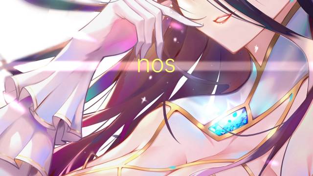 nos oigamos是什么意思 nos oigamos的读音、翻译、用法