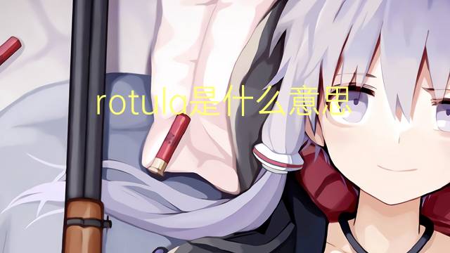 rotula是什么意思 rotula的读音、翻译、用法