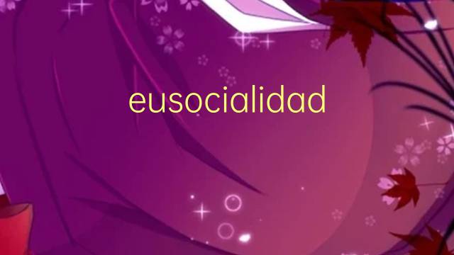 eusocialidad是什么意思 eusocialidad的读音、翻译、用法