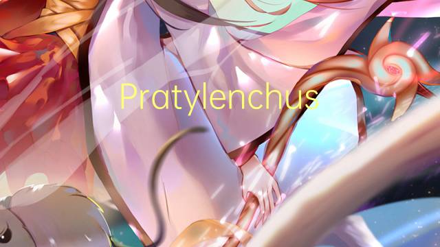 Pratylenchus crenatus是什么意思 Pratylenchus crenatus的读音、翻译、用法