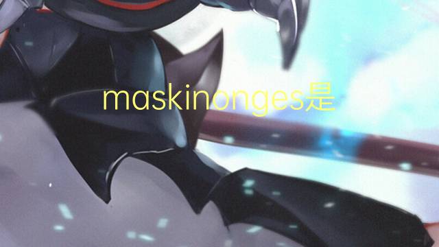 maskinonges是什么意思 maskinonges的中文翻译、读音、例句