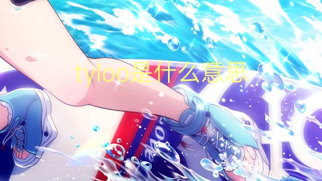 tyloo是什么意思 tyloo的中文翻译、读音、例句