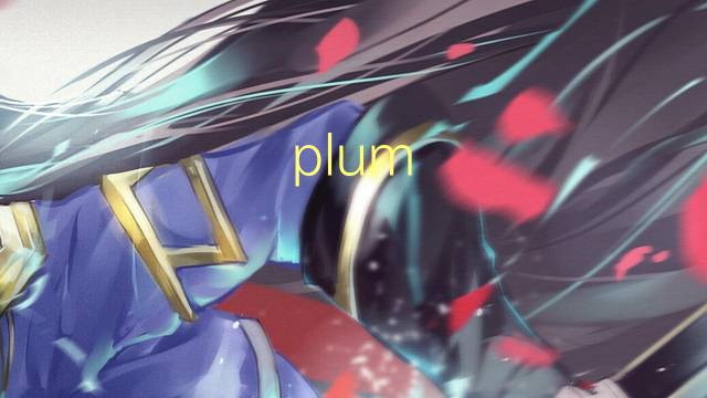 plum blossom是什么意思 plum blossom的中文翻译、读音、例句