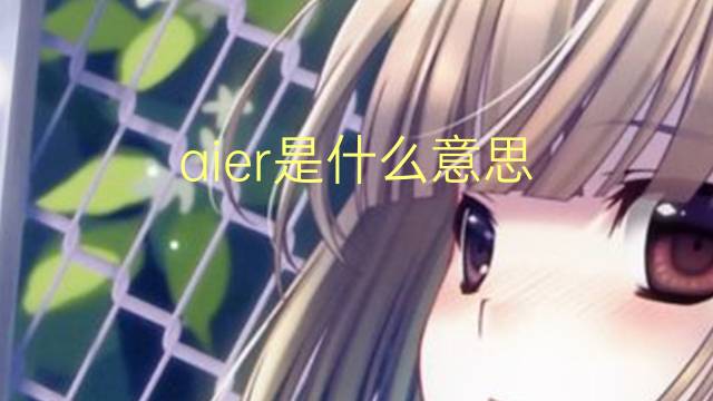aier是什么意思 aier的中文翻译、读音、例句